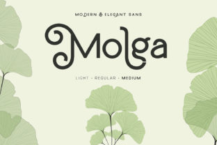 Molga: A Modern Display Font That Balances Sweetness and Edge